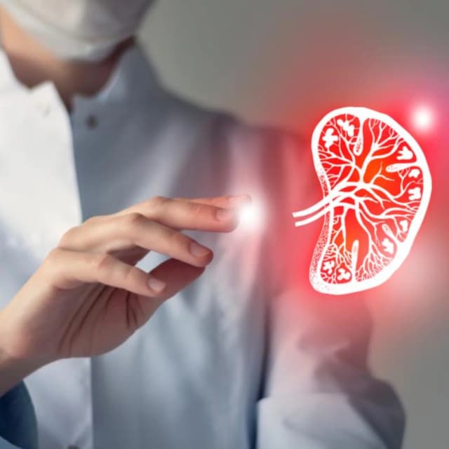 El bazo no es vital para vivir